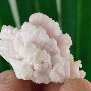 Mini Mangano Calcite from Krushev dol mine,Madan ore field,Rhodope Mts,Smolyan Oblast,Bulgaria, Mineral,Crystal,N8