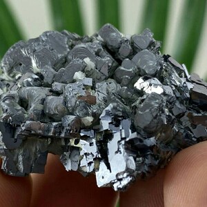 Beautiful Lustrous Galena from Borieva mine,Madan ore field,Rhodope Mts,Smolyan Oblast, Bulgaria, Minerals, Crystals, Specimens,GalenaN19