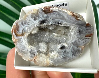 Beautiful Geode Agate from Brazil Geode agate,Cabochons,Top Quality,Home Decor,Decor,Agate Necklace,Agate Pendant,Petite Teal Agate, N136