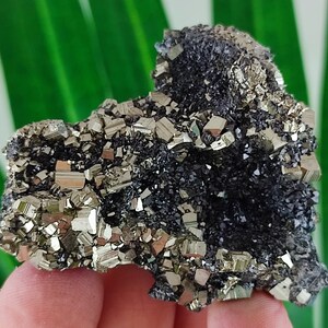 Double Sided Pyrite with Sphalerite from Krushev dol mine,Madan ore field,Rhodope Mts,Smolyan Oblast,Bulgaria,Minerals,N22