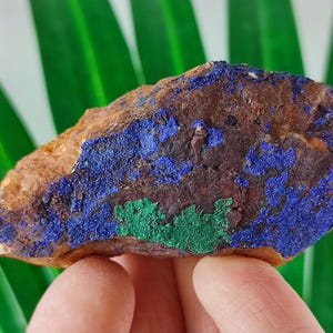 Sehr schöner Azurit aus Marokko, Naturkristall, Wohnkultur, Energiekristall, Cluster, Mineralien und Kristalle, besonderes Geschenk, blauer Kristall,