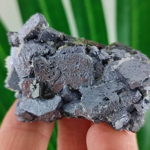 Beautiful  Galena from Borieva mine,Madan ore field,Rhodope Mts,Smolyan Oblast, Bulgaria, Minerals, Crystals, Specimens,Galena stoneN14