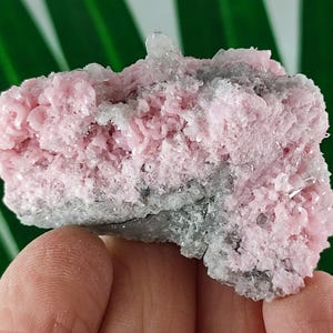 Rare Rhodochrosite with Quartz  from Davidkovo ore Filed,Bulgaria,Pink Crystal,Rodochrosite Crystal,Stone,Top Pink color