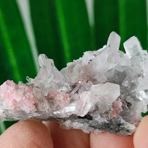 Rare Rhodochrosite with Quartz  from Davidkovo ore Filed,Bulgaria,Pink Crystal,Rodochrosite Crystal,Stone,Top Pink color
