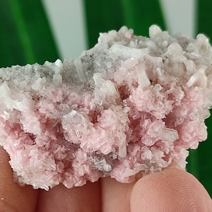 Rare Rhodochrosite with Quartz from Davidkovo ore Filed,Bulgaria,Pink Crystal,Rodochrosite Crystal,Stone,Top Pink color