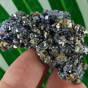 Galena with Pyrite and Sphalerite from Borieva mine,Madan ore field,Rhodope Mts,Smolyan Oblast,Bulgaria,Minerals, Crystals,Gemstone,N12