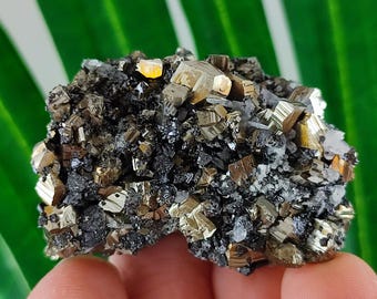 May include: A cluster of pyrite crystals, also known as fool's gold, with a metallic gold color. The crystals are embedded in a matrix of dark gray and black minerals, with small white quartz crystals. The overall appearance is rough and textured.