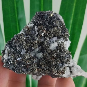 Amazing Sphalerite with Quartz from Krushev dol mine,Madan ore field,Rhodope Mts,Smolyan Oblast,Bulgaria,Minerals,Crystals,Specimens,N31