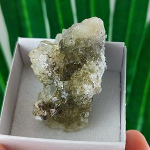 Yellow Fluorite from Spain,Mineral Specimen,Yellow Fluorite,Fluorite from Spain,Collection,Fluorite Collectors,Fluorite,N107