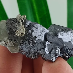 Amazing Galena with Sphalerite from Krushev dol mine,Madan ore field,Rhodope Mts,Smolyan Oblast,Bulgaria,Minerals, Crystals, Gemstone,GemN12