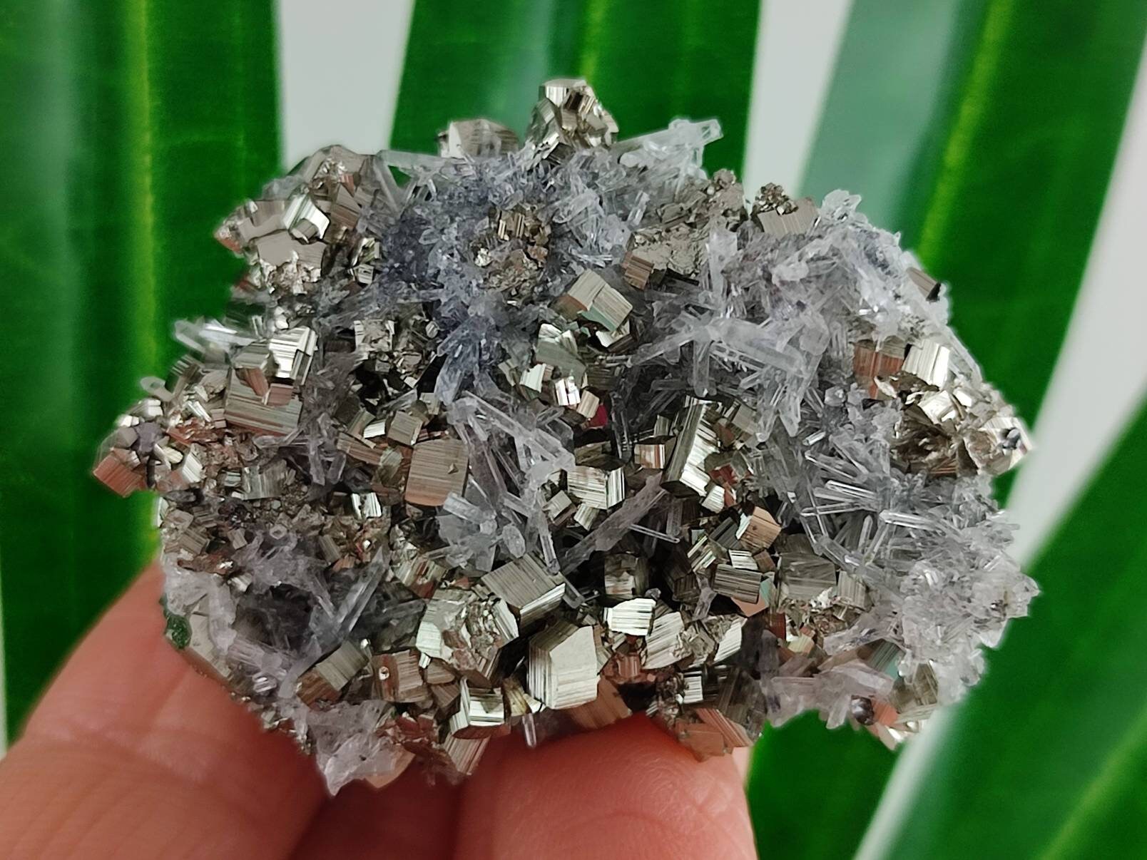 Wonderful Quartz with Pyrite from Krushev dol mine,Madan ore field,Rhodope Mts,Smolyan Oblast,Bulgaria,Minerals,Crystals,Gemstone Gemstone