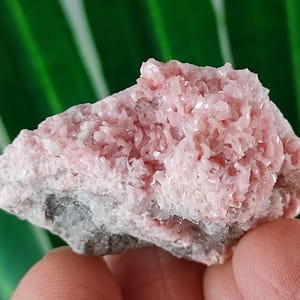 Rare Rhodochrosite with Quartz  from Davidkovo ore Filed,Bulgaria,Pink Crystal,Rodochrosite Crystal,Stone,Top Pink color