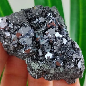 Amazing Galena with Sphalerite from Krushev dol mine,Madan ore field,Rhodope Mts,Smolyan Oblast,Bulgaria,Minerals, Crystals, Gemstone,N13