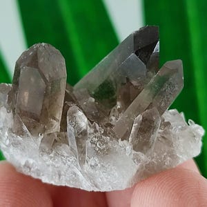 Amazing mini Smoky Quartz Cluster from  Brazil,Mineral,Specimen,Collection,Black Quartz,Mineral,Home Decor,Smoky Quartz Crystal N 77