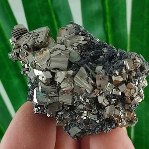 Beautiful Pyrite,Sphalerite from Borieva mine,Madan ore field,Rhodope Mts,Smolyan Oblast, Bulgaria, Minerals,Crystals,Specimens,Galena,N10