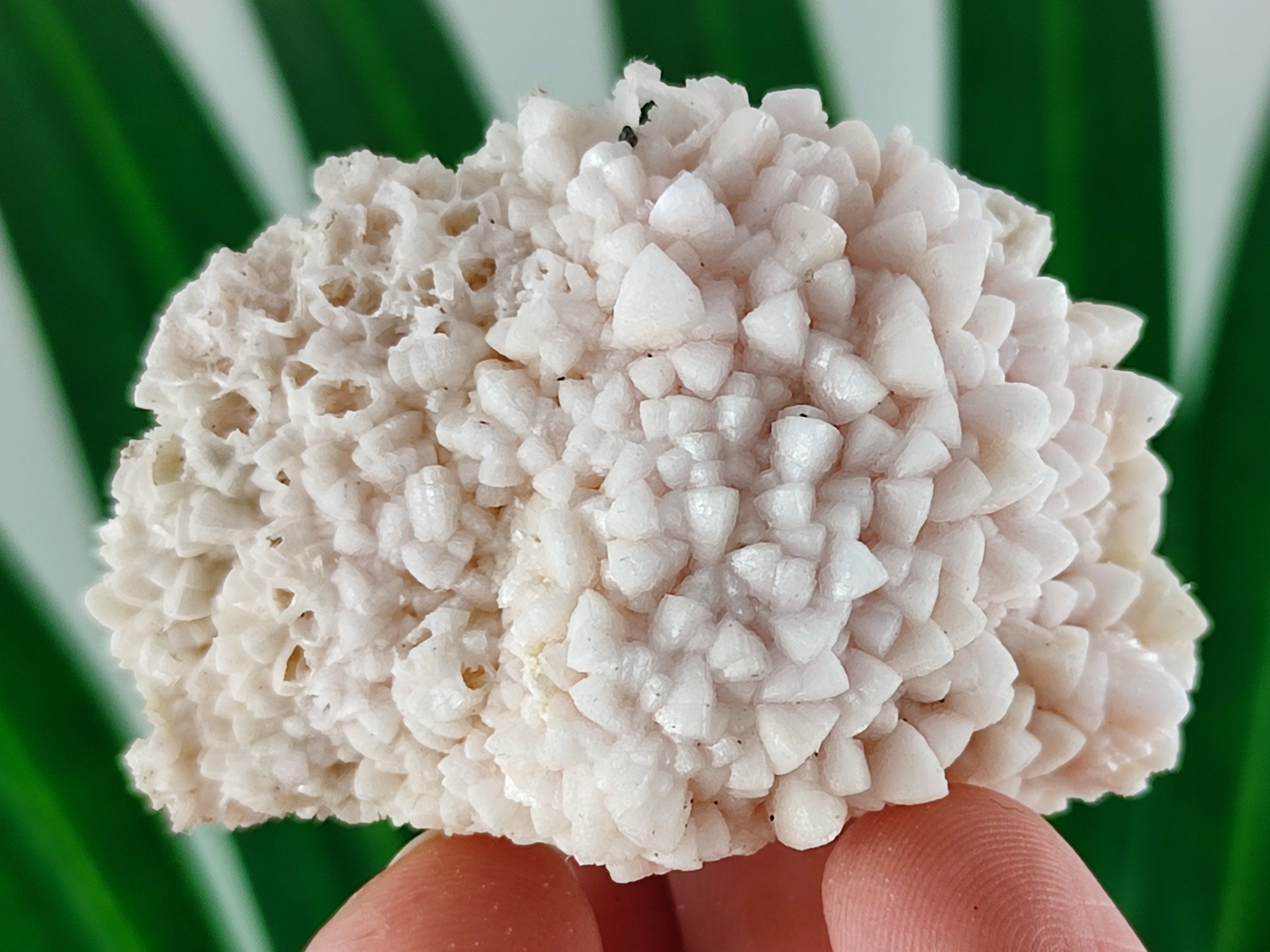 瑪瑙　命根石 Beautiful Mangano Calcite From Krushev Dol Mine,madan Ore Field