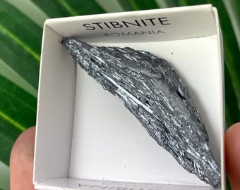 Antimonita de estibina natural de Rumanía: cristal metálico afilado, muestra mineral, caja de 4 x 4 cm