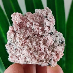 Rare Rhodochrosite with Quartz  from Davidkovo ore Filed,Bulgaria,Pink Crystal,Rodochrosite Crystal,Stone,Top Pink color