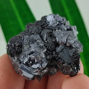 Beautiful Galena with Sphalerite from Krushev dol mine,Madan ore field,Rhodope Mts,Smolyan Oblast,Bulgaria,Minerals,Crystals,Gemstone,GemN12