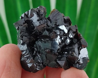 Rare Crystallization Sphalerite from Krushev dol mine,Madan ore field,Rhodope Mts,Smolyan Oblast,Bulgaria,Minerals,Gemstone,N26