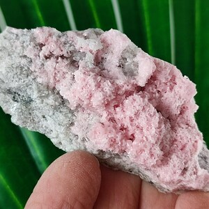 Rare Rhodochrosite with Quartz  from Davidkovo ore Filed,Bulgaria,Pink Crystal,Rodochrosite Crystal,Stone,Top Pink color