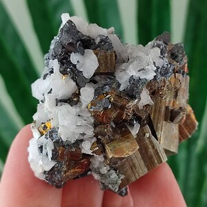 Amazing Pyrite with Calcite,Galena from Borieva mine,Madan ore field,Rhodope Mts,Smolyan Oblast, Bulgaria,MineralsN15