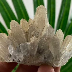 Very nice Quartz Cluster from 9th September mine,Madan ore field,Rhodope Mts,Smolyan Oblast,Bulgaria,Minerals, Crystals,Gemstone,Gem,N44