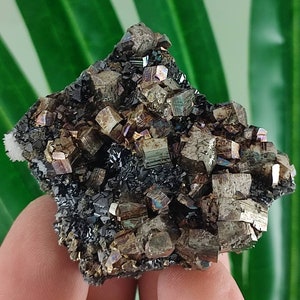 Pyrite with Sphalerite  from Krushev dol mine,Madan ore field,Rhodope Mts,Smolyan Oblast,Bulgaria,Crystals,Gemstone, Gemstone,N12