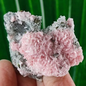 Rare Rhodochrosite with Quartz  from Davidkovo ore Filed,Bulgaria,Pink Crystal,Rodochrosite Crystal,Stone,Top Pink color