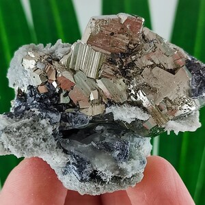 Double Sided Pyrite on Quartz from Borieva mine,Madan ore field,Rhodope Mts,Smolyan Oblast, Bulgaria, Minerals,Specimens,Fools Gold,,N12