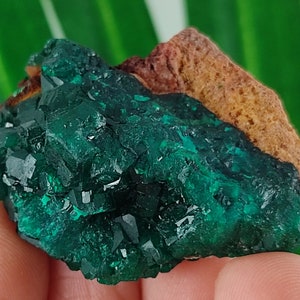 Amas de cristaux de dioptase verte du Congo (3,9 x 3,2 cm)
