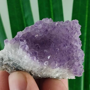 Very Nice Amethyst from Chala Mine,Spachievo ore field,Mineralni Bani Obshtina,Haskovo Oblast,Bulgaria,Amethyst Cluster,Gem,Gemstone,N54