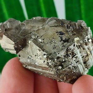 Amazing Golden Pyrite from Borieva mine,Madan ore field,Rhodope Mts,Smolyan Oblast, Bulgaria, Minerals, Crystals,Specimens,Fools Gold,N16