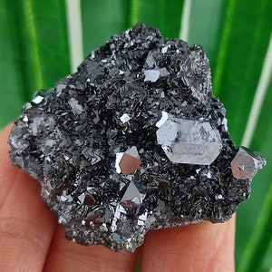 Amazing Galena with Sphalerite from Krushev dol mine,Madan ore field,Rhodope Mts,Smolyan Oblast,Bulgaria,Minerals, Crystals, Gemstone,N12