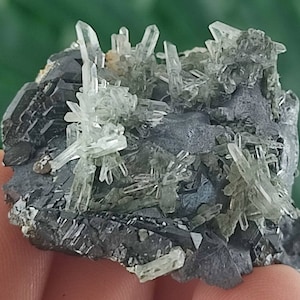 Quartz with Galena and Sphalerite from Borieva mine,Madan ore field,Rhodope Mts,Smolyan Oblast,Bulgaria,Minerals, Crystals, GemstoneN33
