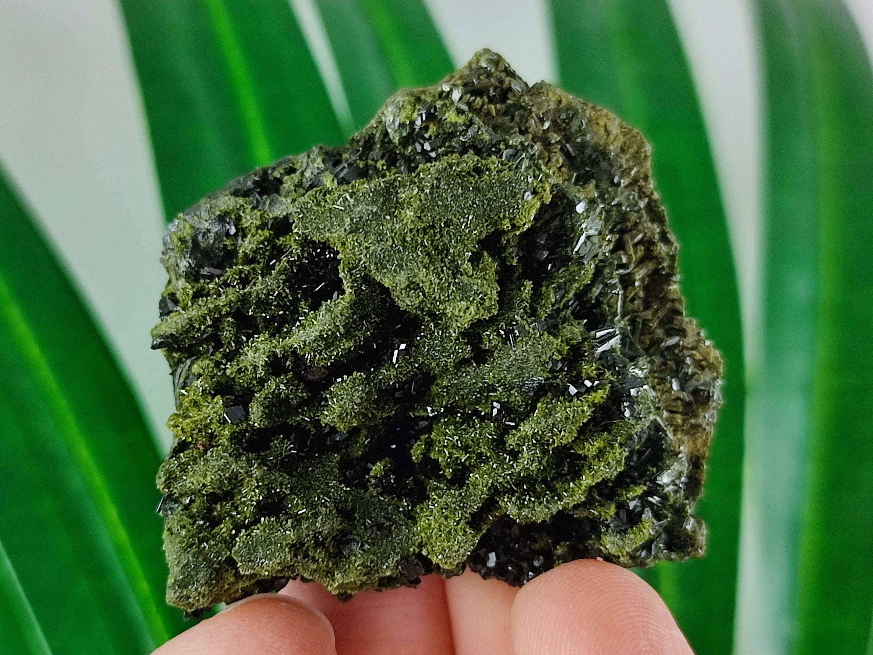 Epidote with Quartz from Hakkari Turkey,Mineral,Collection,Collectibles,Epidote Crystal,Epidote from Turkey,Turkish Epidote