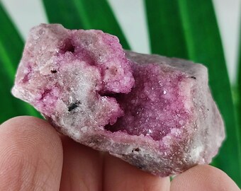 Cobalto Calcite Crystal: Republic of Congo Pink Mineral
