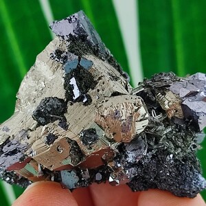 Golden Pyrite with Galena,Chlorite and Quartz from Borieva mine,Madan ore field,Rhodope Mts,Smolyan Oblast,Bulgaria,Minerals, Crystals,N22
