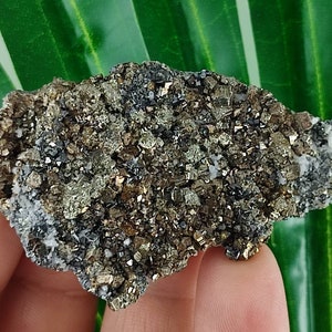Wonderful Pyrite with Chalcopyrite,Sphalerite from Krushev dol mine,Madan ore field,Rhodope Mts,Smolyan Oblast,Bulgaria,Mineral,Home N16