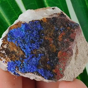 Sehr schöner Azurit aus Marokko, Naturkristall, Wohnkultur, Energiekristall, Cluster, Mineralien und Kristalle, besonderes Geschenk, blauer Kristall,