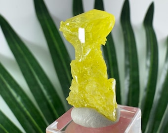 Azufre: Bolivia, azufre amarillo, azufre natural, azufre de Bolivia, soporte independiente, tamaño: 2,5 x 1,2 cm