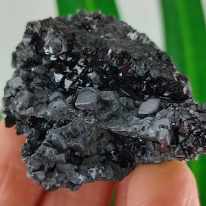Amazing Galena with Sphalerite from Krushev dol mine,Madan ore field,Rhodope Mts,Smolyan Oblast,Bulgaria,Minerals, Crystals, Gemstone,N12