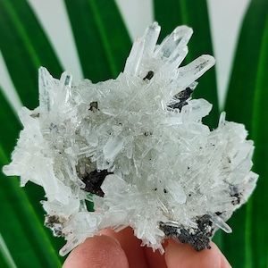 Quartz with Sphalerite from 9th September mine,Madan ore field,Rhodope Mts,Smolyan Oblast,Bulgaria,Minerals,Crystals,N29