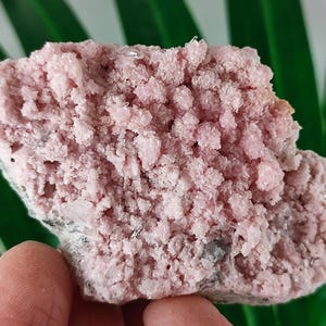 Rare Rhodochrosite with Quartz  from Davidkovo ore Filed,Bulgaria,Pink Crystal,Rodochrosite Crystal,Stone,Top Pink color