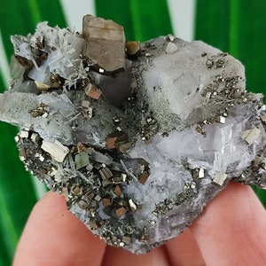 Rare Calcite with Pyrite and Quartz from Borieva mine,Madan ore field,Rhodope Mts,Smolyan Oblast,Bulgaria,Minerals,Crystals,N9