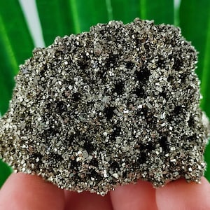 Amazing Golden Pyrite from Borieva mine,Madan ore field,Rhodope Mts,Smolyan Oblast, Bulgaria, Minerals, Crystals,Specimens,Fools Gold,N16