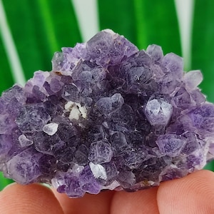 Rare  Amethyst with pyrite from Chala Mine,Spachievo ore field,Mineralni Bani Obshtina,Haskovo Oblast,Bulgaria,Amethyst Cluster,Gem,N54