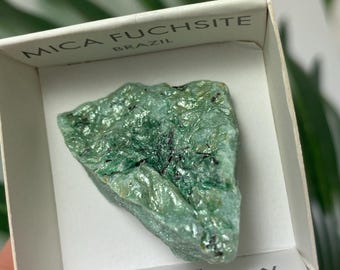 May include: A rough, green Mica Fuchsite stone from Brazil, displayed in a white box. The stone has a textured surface with dark inclusions. The box is labeled "MICA FUCHSITE BRAZIL".