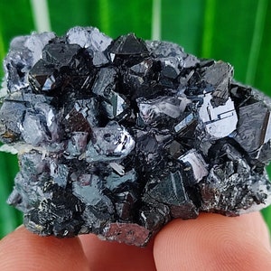 Sphalerite with Galena and  Quartz from Krushev dol  mine,Madan ore field,Rhodope Mts,Smolyan Oblast,Bulgaria,Minerals,N12