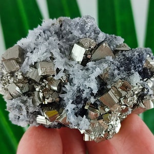 Quartz with Pyrite and Sphalerite from Krushev dol mine,Madan ore field,Rhodope Mts,Smolyan Oblast,Bulgaria,Minerals,Crystals,N9